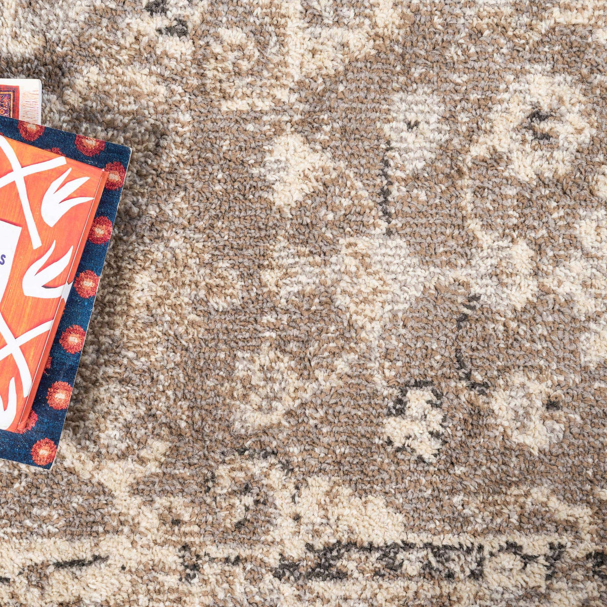 Rechteck Teppich Carrington in Beige von Hadorn™ - Lifestyle Image