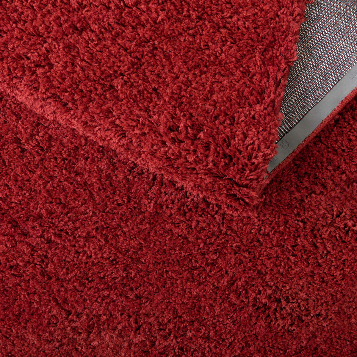 Rechteck Hochflorteppich Everyday Shag in Rot von Hadorn™ - Lifestyle Image